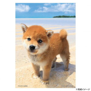 ro[ ybgWO\[pY ڂ̊C 108s[X P108-840 Q[  { | ֘AP m Ԃ 킢 w q @ er 2 p\R ʔ X}[gtH ACfBA X