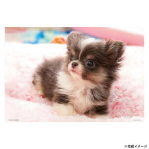 ro[ ybgWO\[pY `ȃ{N 300s[X 300-008 Q[  { | ֘AP 킢 w q @ er 2 p\R ʔ X}[gtH ACfBA X}z {bN