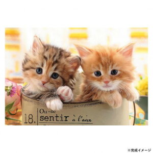 ro[ ybgWO\[pY 킹ɂ 300s[X 300-065 Q[  { | ֘AP  X^v J[h c gJ 3 G{ pY 4 m Ԃ 킢 w q