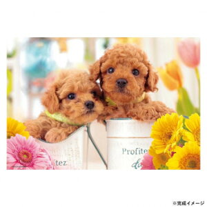 ro[ ybgWO\[pY ! 500X[s[X 500S-008 Q[  { | ֘AP m Ԃ 킢 w q @ er 2 p\R ʔ X}[gtH AC