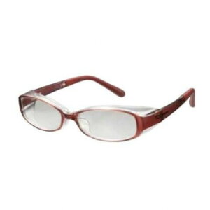 lC   ~ Ε Mtg NX}X v[g ԕOX NAF[ CV06-SK bh 20056