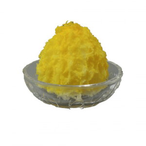 {El HiTv X  IP-441 X pi H | ֘AP T[rXJ[g ē\ Xܗp`FA ①V[P[X Xܔi JE^[bN  l[v[g 