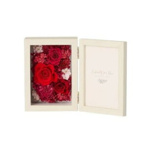 lC   ~ Ε Mtg NX}X v[g t[AW couleur N[ RE F-3603