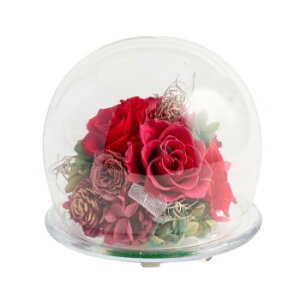 �ɂ� �l�C �������� ��� �~ �t �� �~ �V���� �M�t�g ���� �΍� �v���[���g �t�����[�A�����W ROSA ���[�U RE F-6184