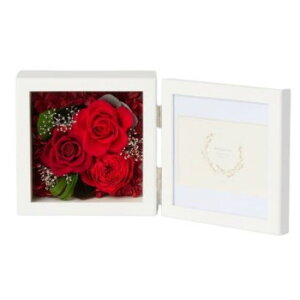 �ɂ� �l�C �������� ��� �������� �~ ���Ε� �M�t�g �N���X�}�X �v���[���g �t�����[�A�����W �����N�X RE F-6047