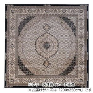 weB YPbgD J[ybg x[W 200x250cm OHRTY250BE CeA | ֘AP G ؍ i` O \t@ ϗtA NbV Ɩ I Vv l炵 Ǌ| fX