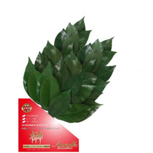 �ɂ� �l�C �������� ��� �������� �~ ���Ε� �M�t�g �N���X�}�X �v���[���g A��K ���{���v���U�[�u�h �v���~�A���� �O�g�Y�����֗t�g�p M�T�C�Y(�{�����[���^�C�v) ��� C-007MVP