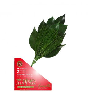 �ɂ� �l�C �������� ��� �������� �~ ���Ε� �M�t�g �N���X�}�X �v���[���g A��K ���{���v���U�[�u�h �v���~�A���r�_�� �O�g�Y�����֗t�g�p S�T�C�Y CK-009S