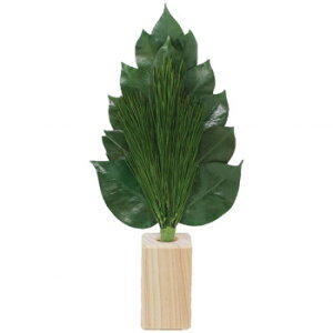 �ɂ� �l�C �������� ��� �������� �~ ���Ε� �M�t�g �N���X�}�X �v���[���g A��K ���{���v���U�[�u�h �r�_��M �嗧�ăZ�b�g ST-006