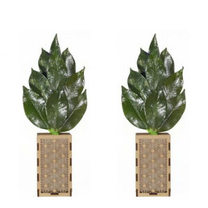 AK {vU[uh ~jS 嗧ăJo[Zbg ST-023