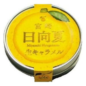 lC   ~ Ε Mtg NX}X v[g  {ĐL 12×60