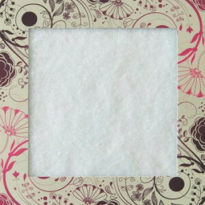 J[X@gCECptB^[@15cmp@@2×10pbN@(sN)EE318-FP5