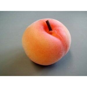 {El HiTv@@IP-349 X pi H | ֘AP T[rXJ[g ē\ Xܗp`FA ①V[P[X Xܔi JE^[bN  l[v[g fBXv