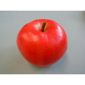 {El HiTv@S@IP-354 X pi H | ֘AP ƖpfBXvC Y X܏Օi ƖpbN v[ plz_[ fBXvC X܈ēOb