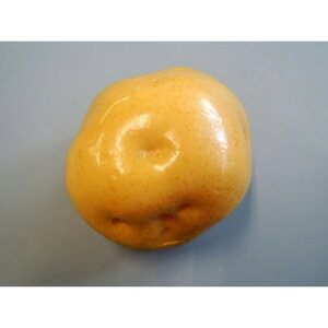 {El HiTv@Ⴊ@IP-360 X pi H | ֘AP T[rXJ[g ē\ Xܗp`FA ①V[P[X Xܔi JE^[bN  l[v[g 