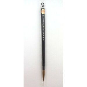 16050@h@(4)@pM@ōC^`