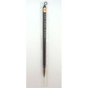 lC   ~ Ε Mtg NX}X v[g 16500@h@㐬{(7)@EpM@C^`