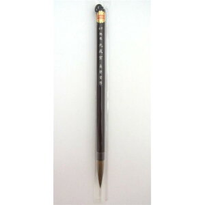 lC   ~ Ε Mtg NX}X v[g 16520@h@㐬{(5)@EpM@C^`