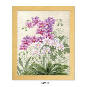 lC   ~ Ε Mtg NX}X v[g IpX@ImGEO~@イLbg@ׂԂ@Ӓ@7452