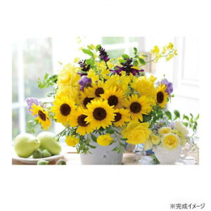 WO\[pY 1000RpNgs[X X}C[CG[ 13-06 Q[  { | ֘AP  X^v J[h c gJ 3 G{ pY 4 m Ԃ 킢 w q 
