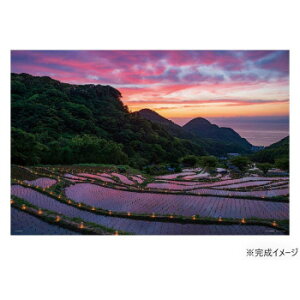 WO\[pY 1000s[X ΕIc̃LhiCg(É) 10-1425 Q[  { | ֘AP  X^v J[h c gJ 3 G{ pY 4 m Ԃ 킢 w 