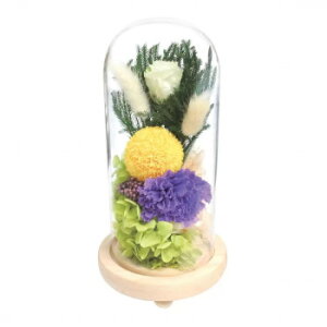 KXh[AWg (Ђ)@C30660L   Lb` | ֘AP ACfBA W[T[ ~LT[ ֗ Z  g VՂ g P[L NbL[ ^  Ă^ 