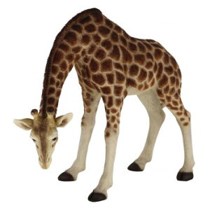 lC   ~ Ε Mtg NX}X v[g I[ig L  14196