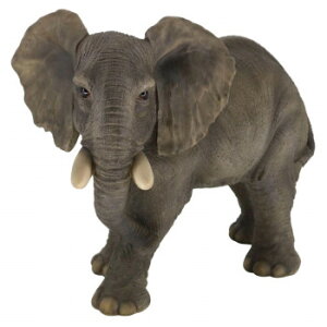 lC   ~ Ε Mtg NX}X v[g I[ig ]E  14198