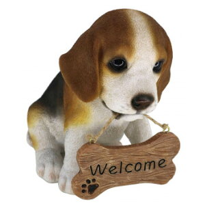 lC   ~ Ε Mtg NX}X v[g hbOI[ig r[O welcomeTC 14232