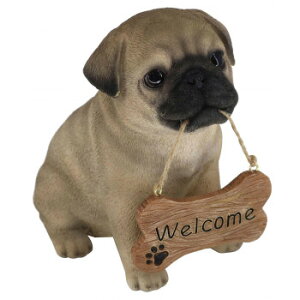 lC   ~ Ε Mtg NX}X v[g hbOI[ig pO welcomeTC 14237