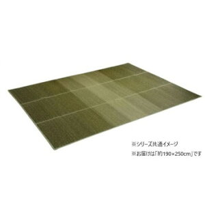 J[ybg {[O NA 190×250cm O[ 1070480124203 Ƌ [ Ɩ | ֘AP J[ybg O _CjO ʐ^  ACfBA ֗ NX}X  R[h  oX