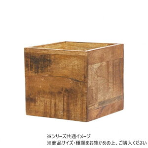 �l�C �������� ��� �~ �V���� �M�t�g ���� �΍� �v���[���g AM�i�`�������E�b�h�L���[�uBOX 19.5×H18.5�@3U00081