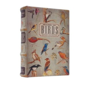 AeB[NbN GveBubN{bNX BIRD IN054568 Ƌ [ bN | ֘AP Lrlbg {I x`[ t[ J[{bNX ރbN er{[h fBXvC