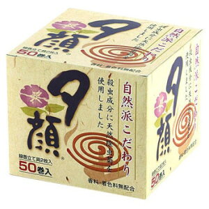 [VRƂ50 T-8172   | ֘AP i Mtg Mtg @vԂ J^OMtg  j zAMtg uMtg e{ Cj l