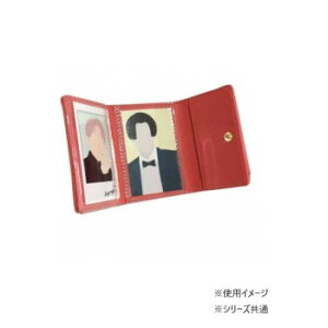 Sunny Side Tj[TCh J[~jz BE JW-0523-21  ΂ | ֘AP fB[X Y ʋ bN e y g[g V_[ h rWlX iC w 2way  s }U[