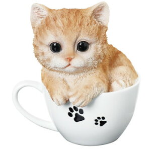 lC   ~ Ε Mtg NX}X v[g LbgI[ig LeB 14211