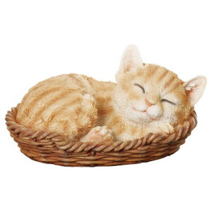 lC   ~ Ε Mtg NX}X v[g LbgI[ig LeB 14216