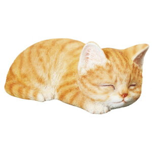 lC   ~ Ε Mtg NX}X v[g LbgI[ig LeB 14220