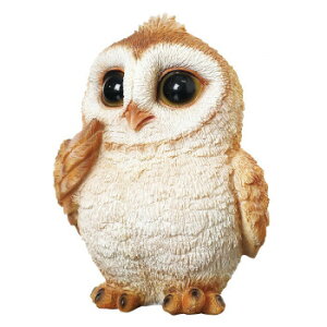 lC   ~ Ε Mtg NX}X v[g tNEI[ig 14163