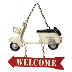 EFJ{[h scooter Ǌ| 43154