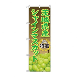 ̂ڂ SNB-9816 錧YVC}XJbg X pi H | ֘AP P C@ ŉtX^h JE^[`FA ~߃}bg Ŕ eBbVP[X dqj[ i