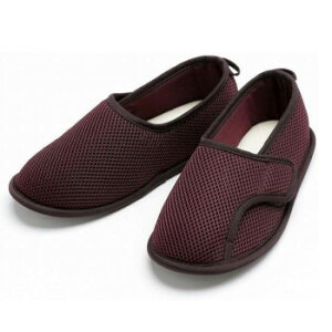  RtH[gV[Yi2502j }WbNM[ C LL C V[Y C \bNX |  ʋΒʊw dɍœK JWA AEghA X|[cϐ X