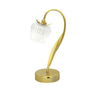 LEDu[Cg ڂ NA IN011501 Ɩ Cg | ֘AP fXNCg LEDCg kCg Ɩ y_gCg ^^Cg VfA V[OCg Ɨp