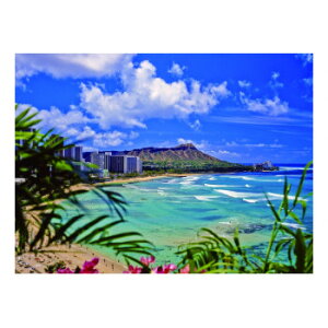KXA[gsN`[ DIAMOND HEAD DE010306 CeA | ֘AP ʉ Ǌ| v O \t@ I Vv k J[e e[u ؐ i` `FA t@ubN l炵 Nb
