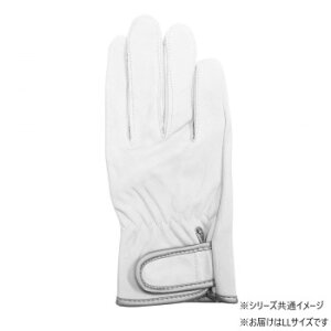 lC   ~ Ε Mtg NX}X v[g 쏤 G[X RrNXg }WbN Aet LLTCY AG041