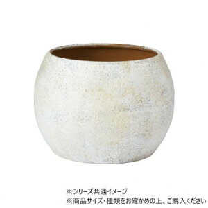 MC{E^BWH 12.5(10)xH9@3200031BWH K[fjO DIY | ֘AP XeX  RpNg   ؂ꖡ ~j ACfAi 傫 K     K[f G I ؍ 