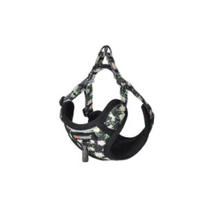 [N hbOlX [hn[lXZbg gXJ fCW[ubN ybgpi ybg  L Lbg hbN | ֘AP ACfAi ybgTv gC Lbg^[ 