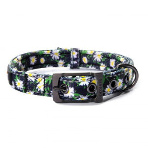 [N hbOlX  GKg M fCW[ubN ybgpi ybg  L Lbg hbN | ֘AP ^ Lpi @\ Q[W V[c LgC  p ʔ Ϗ 