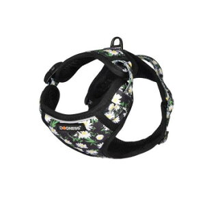 [N hbOlX n[lX GKg M fCW[ubN ybgpi ybg  L Lbg hbN | ֘AP ^ Lpi @\ Q[W V[c LgC  p ʔ 