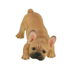 Benny's t`u(hAXgbp[) QB-006B CeA | ֘AP k  l炵 ؍ Vv _ i` ؐ Ǌ| ϗtA \t@ O NbV xbh J[e